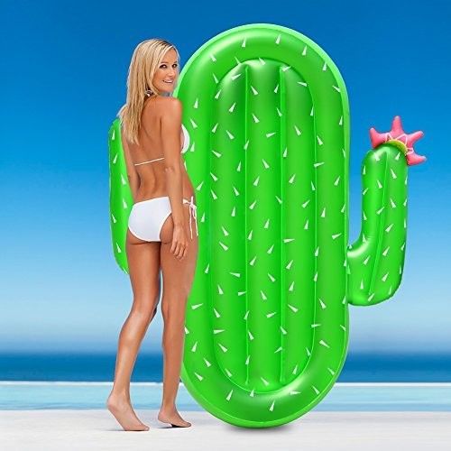 Family Fun Cactus Pool Float Non-Phthalate PVC Zomerfeest Float For Lake