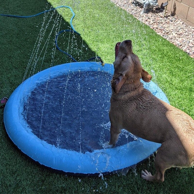 LC Water Splash Sprinkler Pad voor honden Huisdier Douche Sprinkler PVC Huisdier Speelgoed Honden Splash Pad
